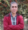 دکتر محمود مجملی